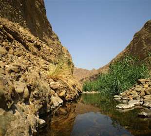 Wadi Wurayah Biosphere Reserve