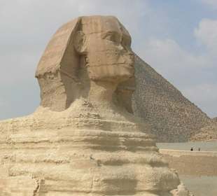 Die Sphinx