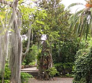 Botanischer Garten