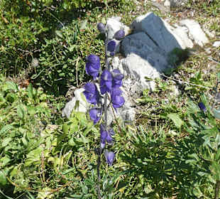 Wanderung am Nebelhorn