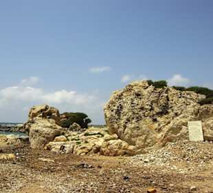 Felsen pur