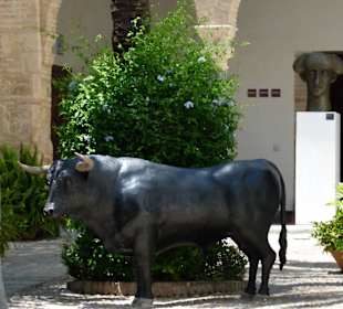 Der Bronzestier im Vorhof des Museums