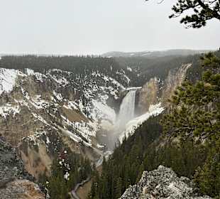 Yellowstone Nationalpark