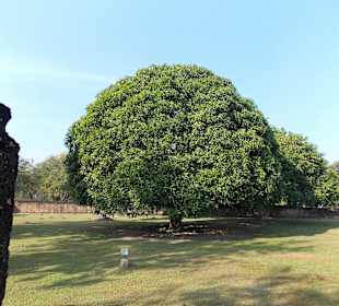 Sukhothai Historical Park