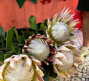 Exotische Blumen und Früchte auf dem Markt...