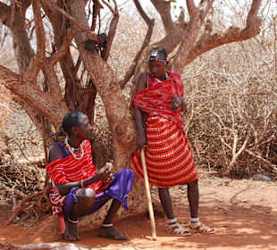 Palaver im kühlen Schatten
