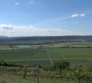 Früchtetrauf - Wurmlinger Kapellenwegle