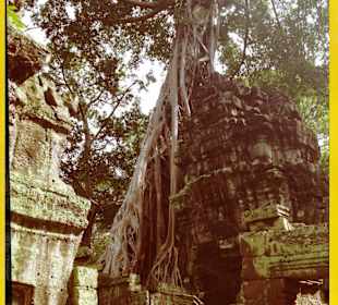 Ta Prohm