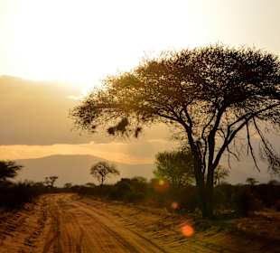 Sonnenuntergang im Tsavo Ost