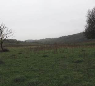 Naturschutzgebiet Listhof