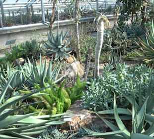 Gewächshäuser Botanischer Garten