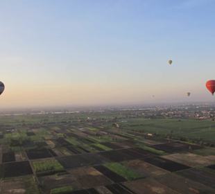 Ballonfahrt über Luxor