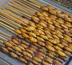 Zbiór najdziwniejszego jedzenia w całym Pekinie