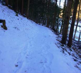 Am See bei der Rodelbahn