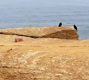 Nationalreservat Paracas