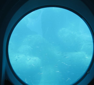 Unter Wasser