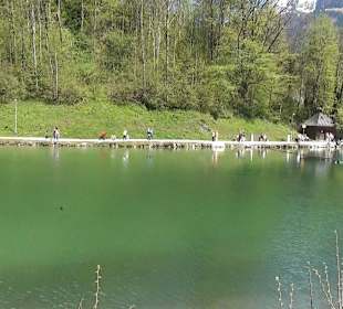 Deutsche Post Eisarena Königssee 