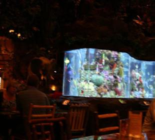 Aquarium im Cafe