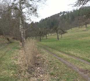 Unterjesinger Wengertwegle