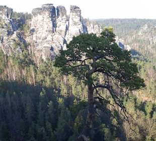 Bastei bei Rathen