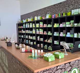 Aloe Vera Fresca Infocenter Teneriffa -  Chasna