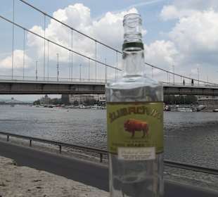 Żubrówka w Budapeszcie