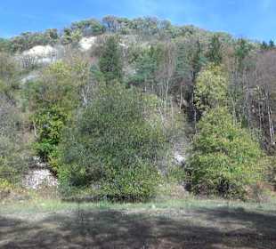 Wandertour "Rund um den Rossberg" Öschingen