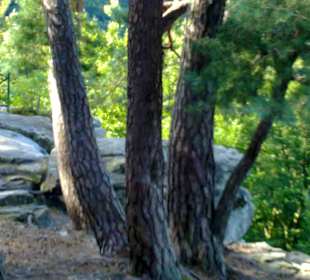 Kleine Luxemburger Schweiz bei Echternach