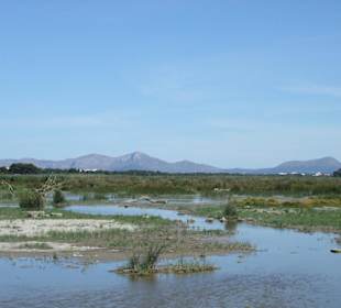 Naturpark S'Albufera