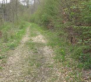 Premiumwanderweg Hochgebürzelt