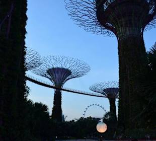 Gardens by the Bay