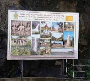 Elefantenreiten Sigiriya