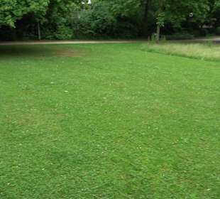 Baumlehrpfad Glacis Park