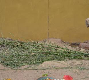 Irrland Bauernhof-Erlebnisoase