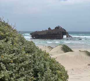 Große Insel Erlebnis Tour