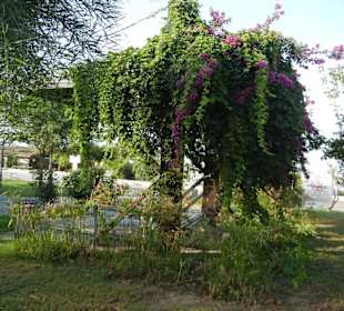 Strandpromenade Evrenseki