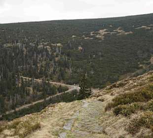 Berg Schneekoppe/Śnieżka