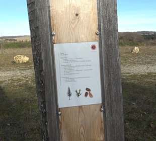 Ort der Stille Böttingen