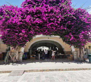 Stadtrundgang Marmari