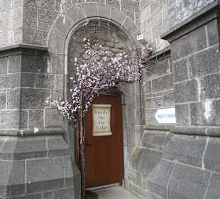Kathedrale der unbefleckten Empfängnis