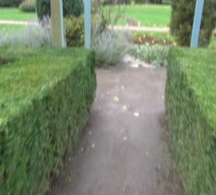 Karl-Foerster-Garten