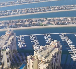 The view at the palm