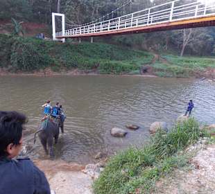Elefantencamp Chiang Mai