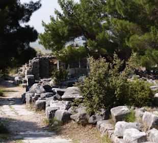 Heiligtum der Ägyptischen Götter