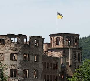 Schlossgarten Heidelberg – Blick zum Schloss