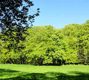 Spaziergang durch Muhles Park