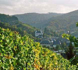 Ausblick auf Trarbach