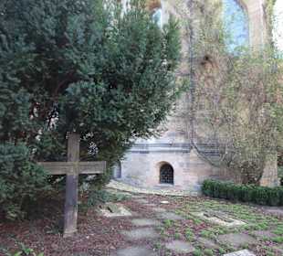 Der Rosenstock an der Apsis des Domes