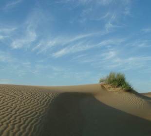 Wüstensafari