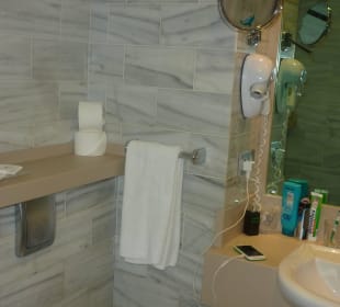 Toilettenbereich 